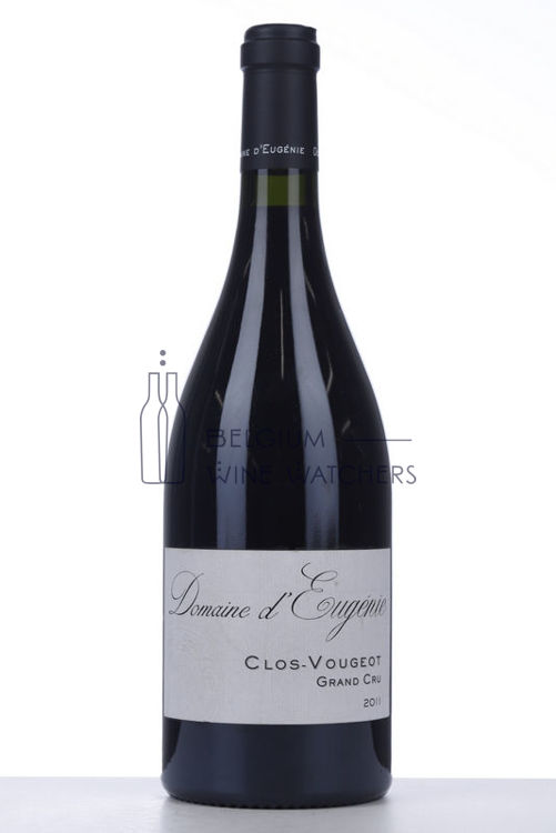 Picture of 2011 CLOS VOUGEOT